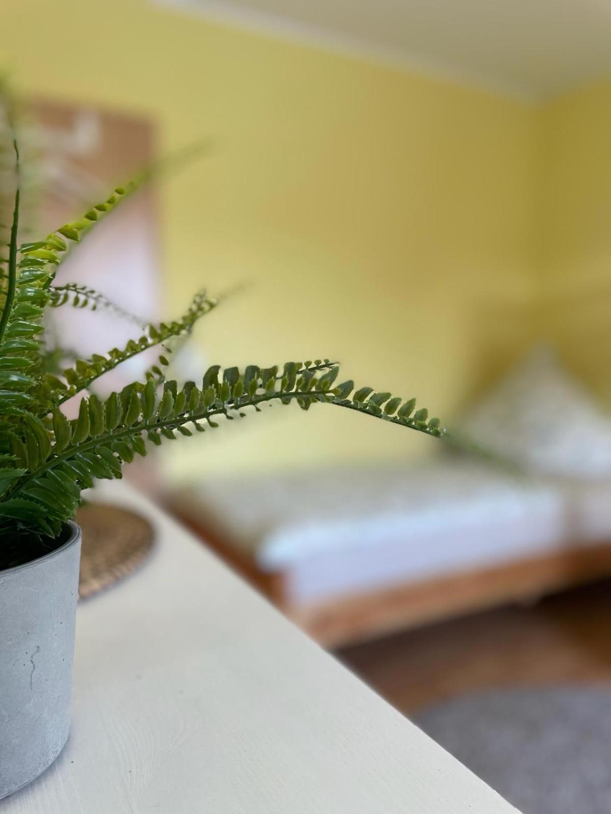 Modernes Apartment Im Gruenen, Mit Park- Und Meer-Naehe Bad Zwischenahn Exterior foto