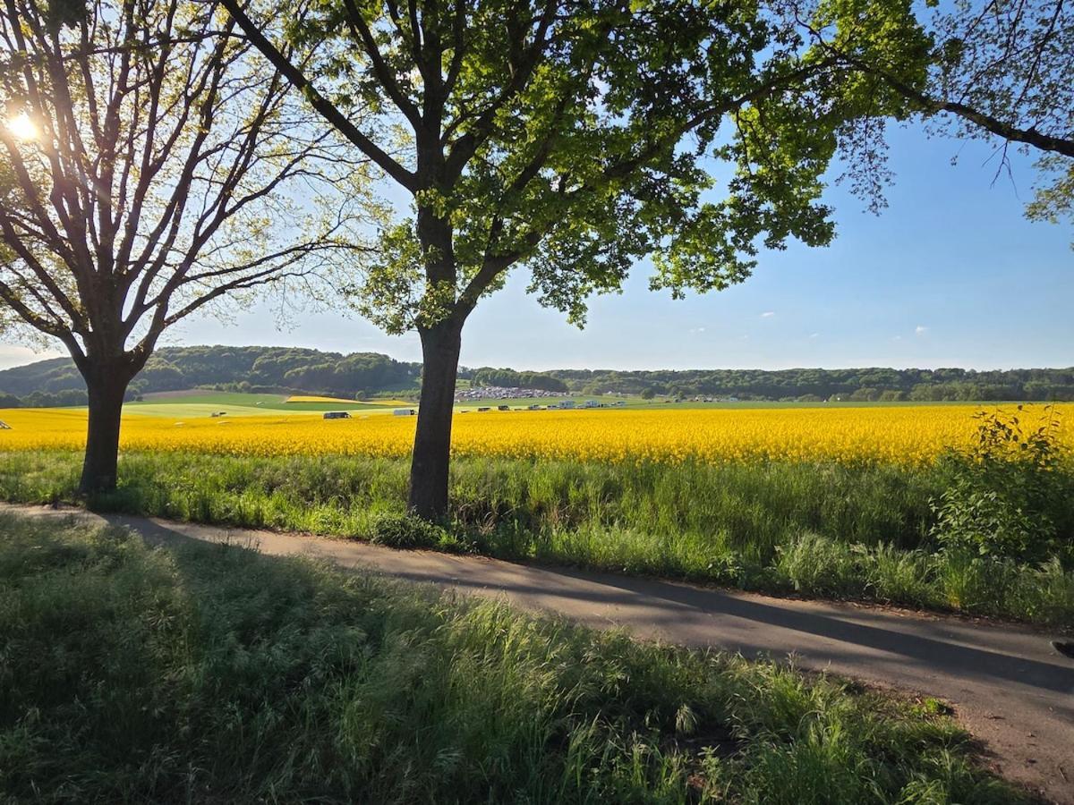 Modernes Apartment Im Gruenen, Mit Park- Und Meer-Naehe Bad Zwischenahn Exterior foto